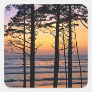 Adesivo Quadrado EUA, Estado de Washington, Olimpiadas NP. Delicado