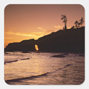 Adesivo Quadrado EUA, Estado de Washington, Parque Nacional Olimpia