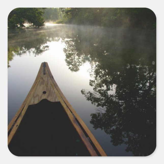 Adesivo Quadrado EUA, Florida, Ocala National Forest, Alexander (Frente)