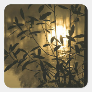 Adesivo Quadrado EUA, Geórgia, Callaway Gardens, Sunrise