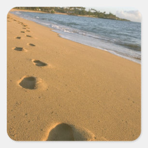 Adesivo Quadrado EUA, Havaí, Kauai, Kapa'a, fachada.