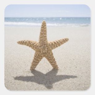 Adesivo Quadrado EUA, Massachusetts, Cape Cod, Nantucket, fecha