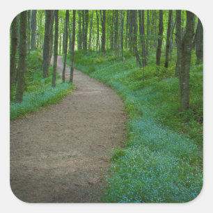 Adesivo Quadrado EUA, Michigan. Caminho das Falhas do Miner