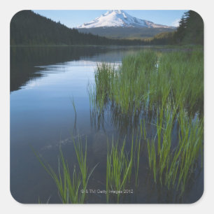 Adesivo Quadrado EUA, Oregon, Clackamas County, opinião o Trillium