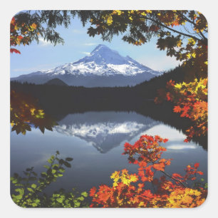 Adesivo Quadrado EUA, Oregon, Floresta Nacional de Mt. Hood.