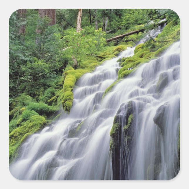 Adesivo Quadrado EUA, Oregon, Proxy Falls. Proxy Falls corre (Frente)