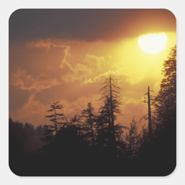 Adesivo Quadrado EUA, Tennessee, Montanhas Enfumaçados Excelentes N (Frente)