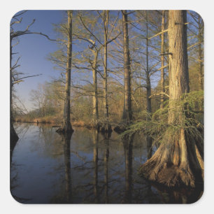 Adesivo Quadrado EUA, Tennessee. Reelfoot National Wildlife