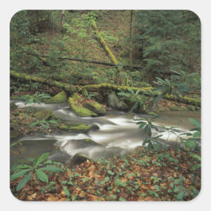 Adesivo Quadrado EUA, Tennessee. Rio Nacional Big South Fork