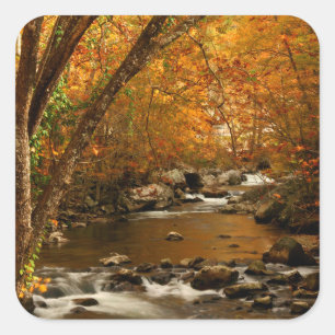 Adesivo Quadrado EUA, Tennessee. Rushing Mountain Creek 3