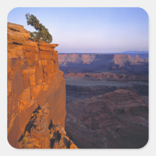 Adesivo Quadrado EUA, Utah, Dead Horse Point SP. Luz tardia torna