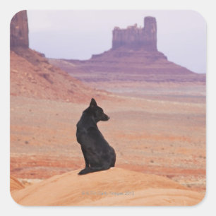 Adesivo Quadrado EUA, Utah, Monument Valley, Cachorro sentado no ro