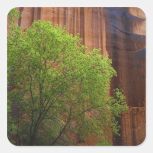 Adesivo Quadrado EUA, Utah, Paria Canyon- Vermillion Cliffs