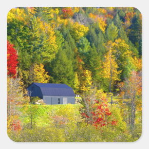 Adesivo Quadrado EUA, Vermont. Folhagem de outono ao longo da rodov