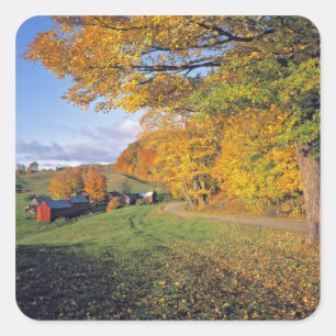 Adesivo Quadrado EUA, Vermont, Jenne Farm. Outono chega a Jenne