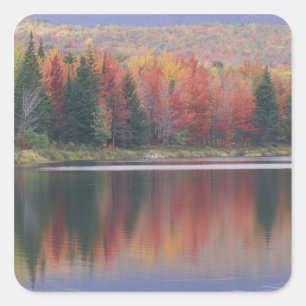 Adesivo Quadrado EUA, Vermont, lago McAllister, perto de Hazens Not