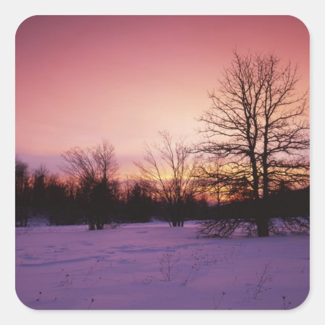 Adesivo Quadrado EUA, Virginia, Shenandoah National Park, (Frente)