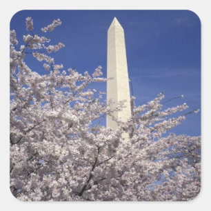 Adesivo Quadrado EUA, Washington DC. Festival das Cerejeiras em Flo