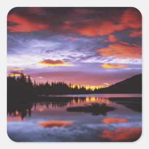 Adesivo Quadrado EUA, Washington, Parque Nacional Mt. Rainier,
