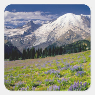 Adesivo Quadrado EUA, Washington, Parque Nacional Mt. Rainier.