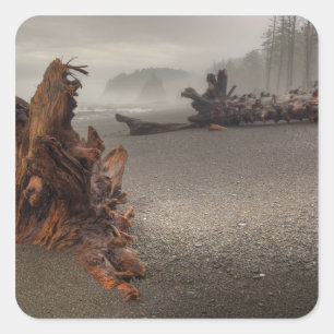 Adesivo Quadrado EUA, Washington, Parque Nacional Olímpico, Rialto