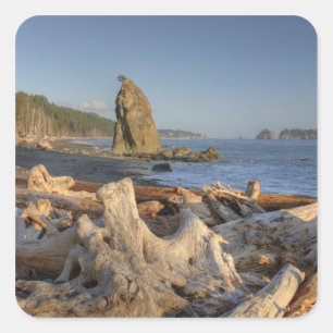 Adesivo Quadrado EUA, Washington, Parque Nacional Olímpico, Rialto