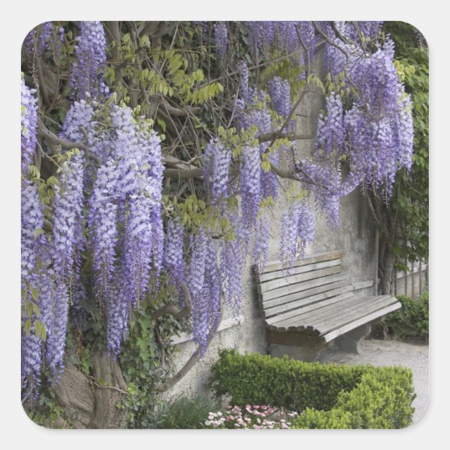 Adesivo Quadrado Europa, Áustria, Salzburg Stadt, Salzburgo, (Frente)