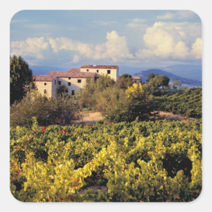 Adesivo Quadrado Europa, France, Bonnieux. Os vinhedos cobrem