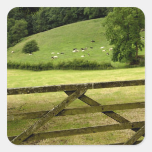 Adesivo Quadrado Europa, Inglaterra, Lake District, Cumbria,