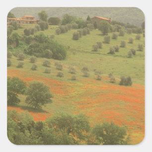 Adesivo Quadrado Europa, Itália, Toscana, Val D'Orcia, Monte