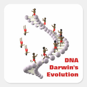 Adesivo Quadrado Evolução do DNA Darwin