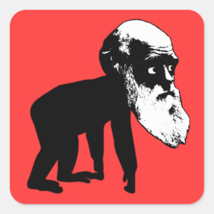 Adesivo Quadrado Evolução engraçada de Darwin