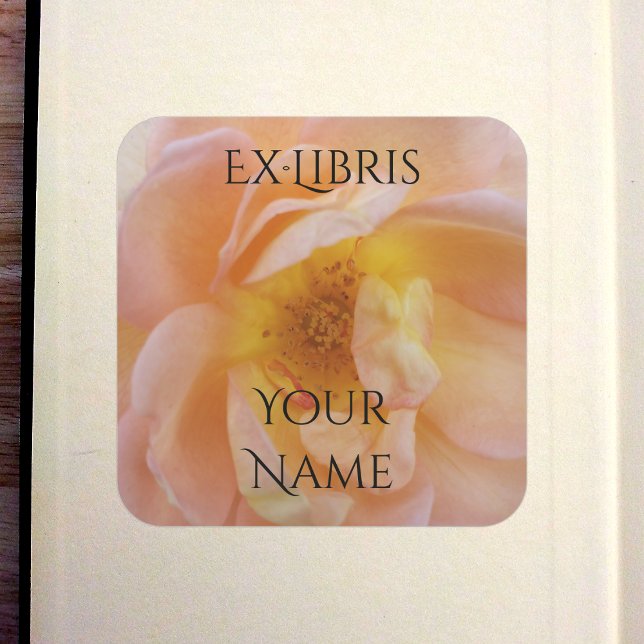 Adesivo Quadrado Ex-libris do Livro Rosa Cor de Pêssego (Peach-Colored Rose Bookplate in Old Book)