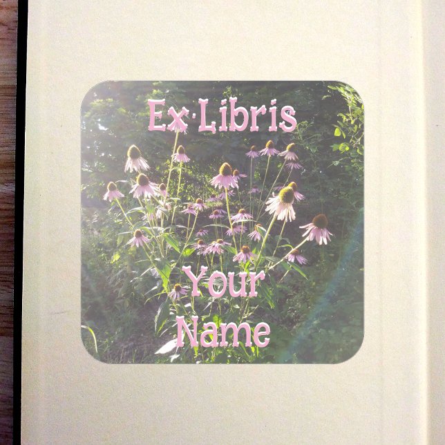 Adesivo Quadrado Ex-libris Flores de Echinacea ao Sol (Echinacea Flowers in the Sun Bookplate in Old Book)