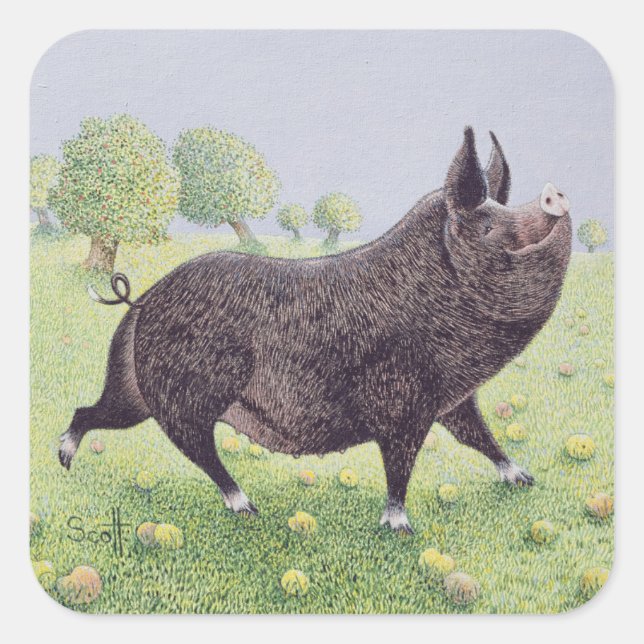 Adesivo Quadrado Excelente de sensação (Frente)