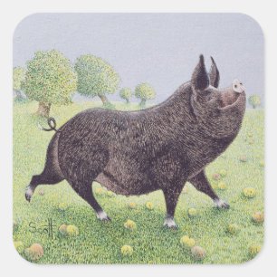 Adesivo Quadrado Excelente de sensação