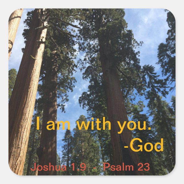 Adesivo Quadrado Exibição de Céu da Sequoia Gigante (Frente)