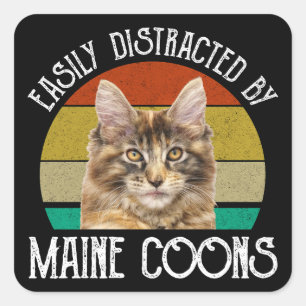 Adesivo Quadrado Facilmente Distraído Por Maine Coons