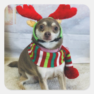 Adesivo Quadrado Falha no Huey Holiday