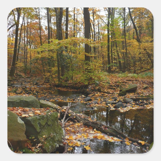 Adesivo Quadrado Fall Creek com Reflexão no Laurel Hill Park (Frente)