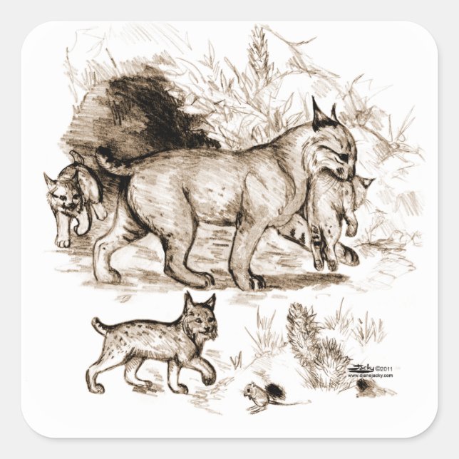 Adesivo Quadrado Família Bobcat (Frente)