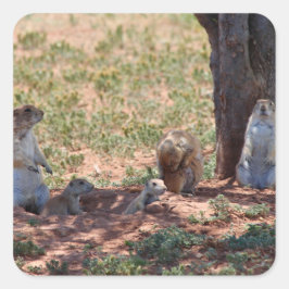 Adesivo Quadrado Família de Cães da Pradaria