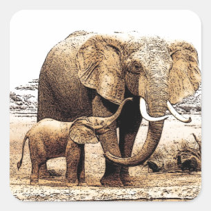 Adesivo Quadrado Família do elefante