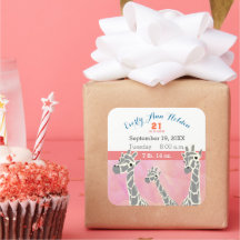 Família Girafa Bebê Nascença Gravação de Nasciment