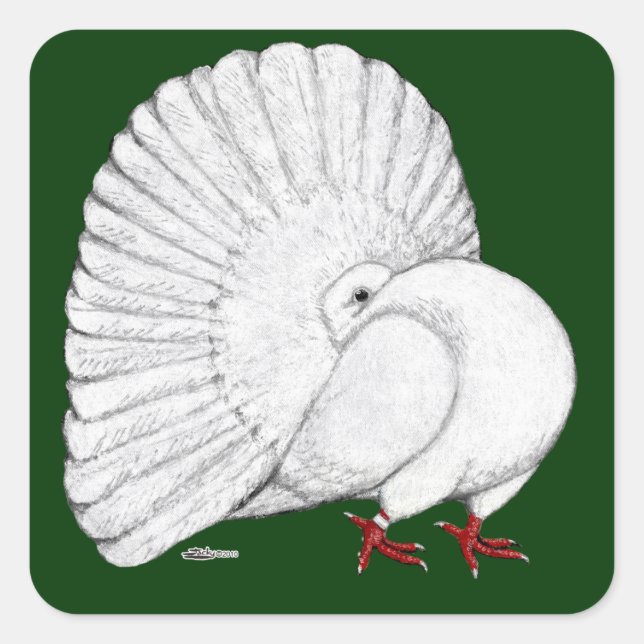 Adesivo Quadrado Fantail Pigeon White (Frente)