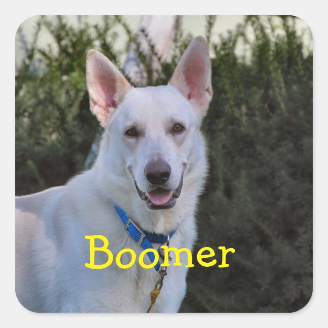 Adesivo Quadrado Fantasma (Frente)