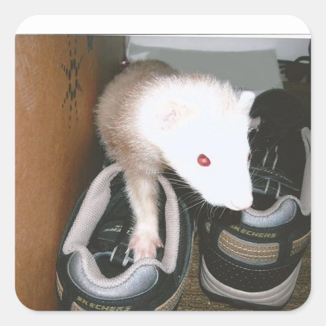 Adesivo Quadrado Farret e a mangueira (Frente)