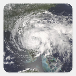 Adesivo Quadrado Fay tropical 4 da tempestade