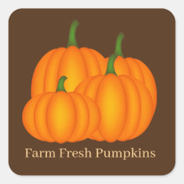 Adesivo Quadrado Fazenda de bombagem fresca vendedores de abóbora