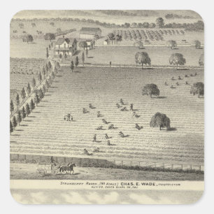 Adesivo Quadrado fazenda Wade, residência do Weller